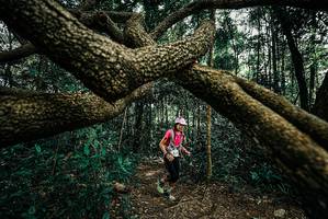 BIB: 
                            <button type="button" onclick="openModal(25708247)" class="btn btn-primary btn-sm float-right btn-popup" data-toggle="modal" data-target=".modal-high-quality">
                        <i class="fas fa-shopping-cart"></i> Add to Cart
                    </button>
                                            <button type="button" onclick="isThisMe(25708247, true)" class="btn btn-success btn-sm float-right btn-popup btn-isme hidden" data-toggle="tooltip" data-placement="bottom" title="นี่คือรูปของคุณใช่ไหม คลิกที่นี่เพื่อเอาเข้าอัลบั้ม">
                        <i class="fas fa-plus"></i> Add to album
                    </button>
                    <button type="button" onclick="isThisMe(25708247, false)" class="btn btn-warning btn-sm float-right btn-popup btn-isnotme hidden">
                        <i class="fas fa-ban"></i> Remove from album
                    </button>